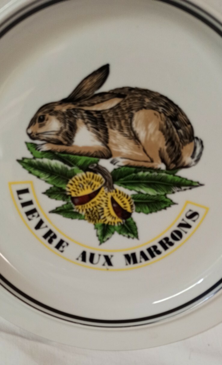 Ouverture de la chasse du lièvre – Saison 2025-2026 - Fédération