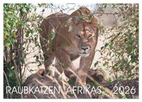 Raubkatzen Afrikas (Wandkalender 2026 Din A4 Quer), Calvendo Monatskalender
