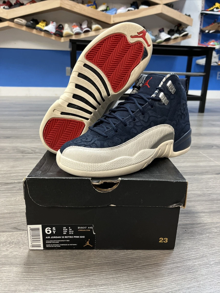 Jordan 12 sales blue and red