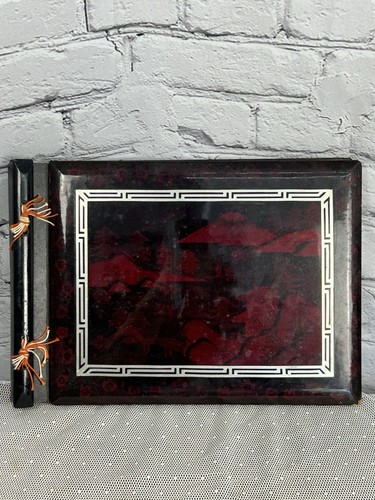 JAPANESE MID CENTURY PHOTO ALBUM RED & BLACK LAQUER NATURE SCENE, Signs of Wear - 第 1/11 張圖片