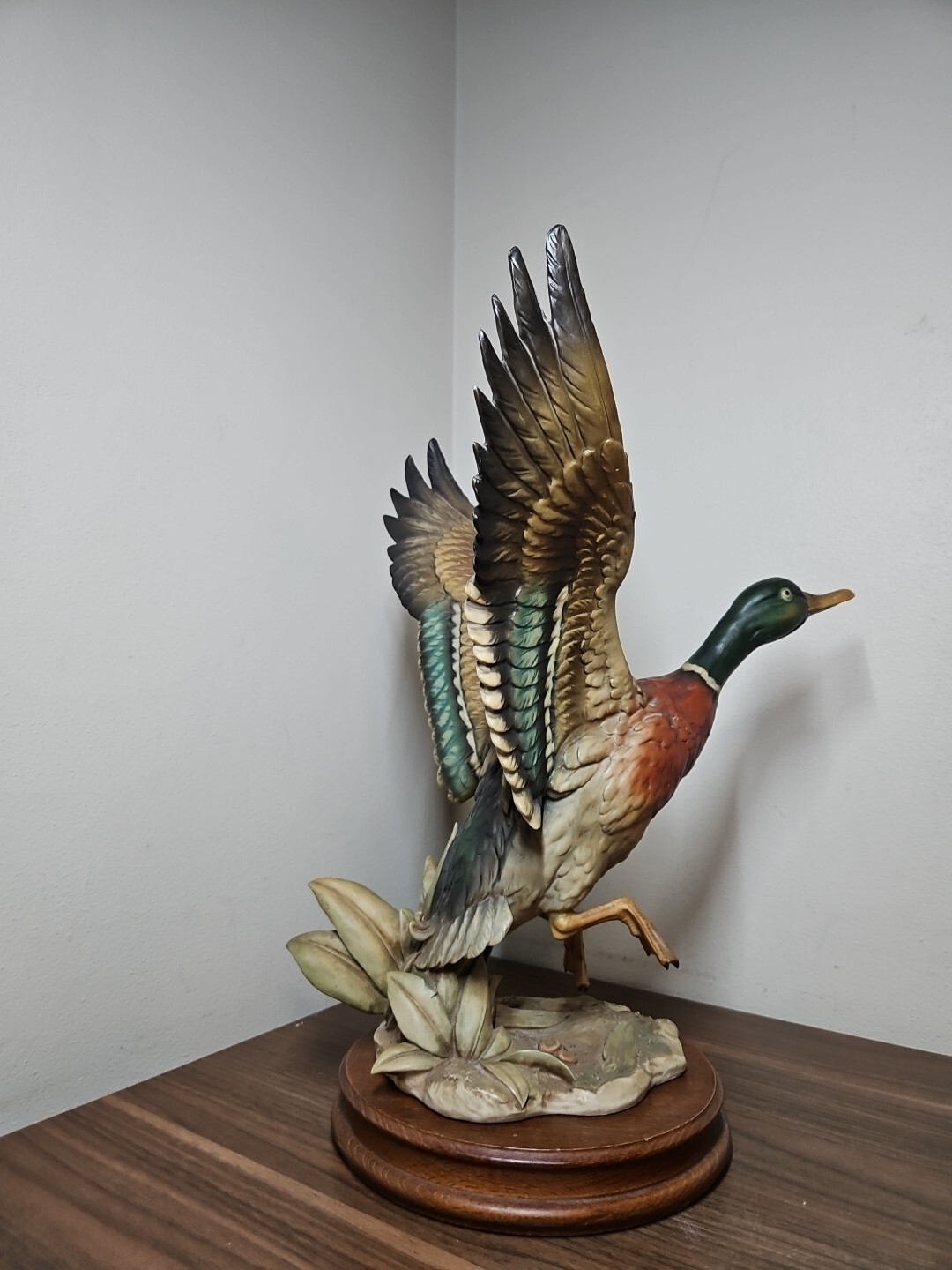 Picture 6 of 16