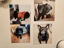 Custom Magnets