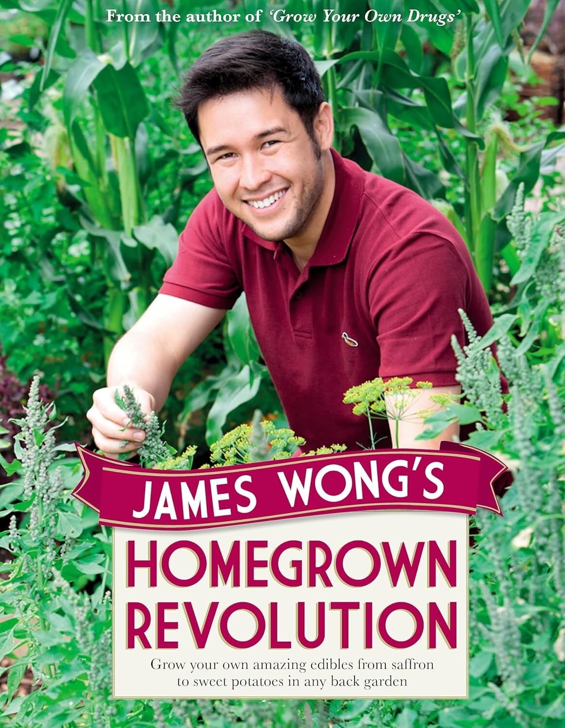 James Wong's Homegrown Revolution by James Wong 9780297867128 NEW book