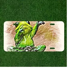 Custom Personalized License Plate Auto Tag With Creative Frog Sketch Design Art