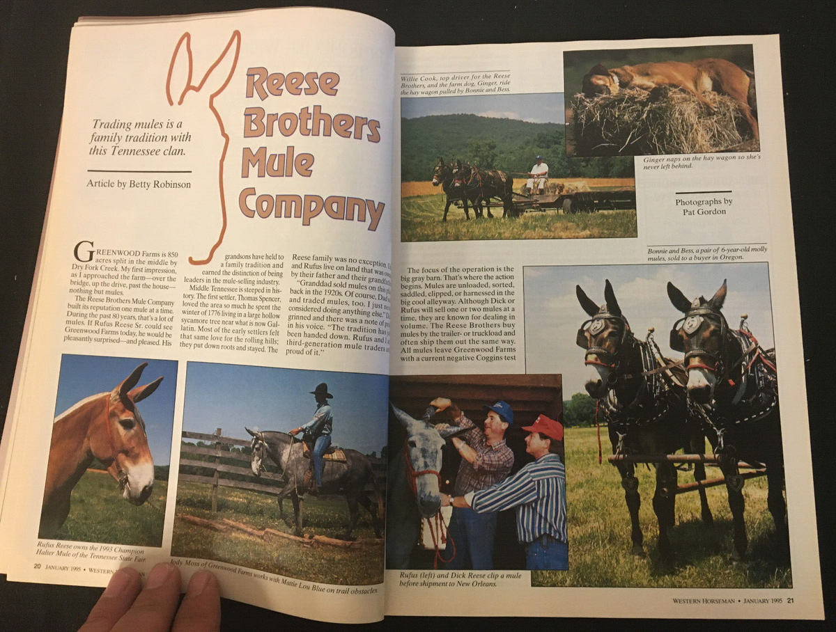 Western Horseman 1995 60