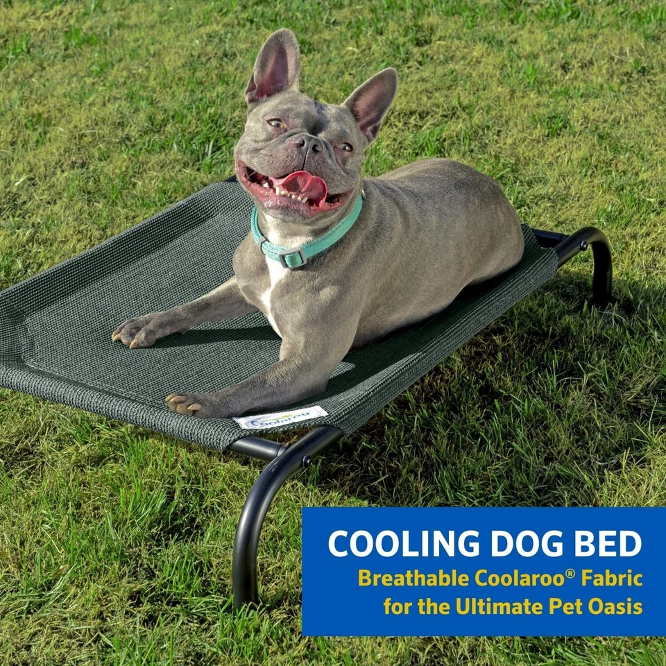 Coolaroo Gale Pacific The Original Cooling Elevated Cama para Perros, Interior y Exterior... Foto 2 de 4