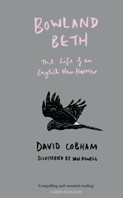 Bowland Beth The Life and Death of an English Hen Harrier David Cobham bird book