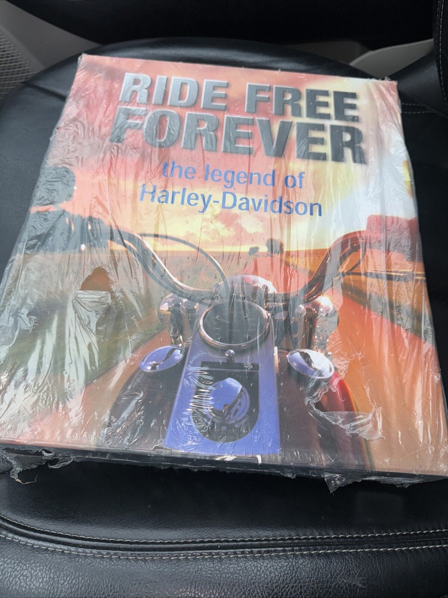 洋書 The Big Book of Biker Flicks 51yeSNZO32L._UF350,350_QL50_.jpg
