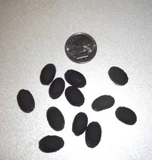 30 Organic Luffa Loofah Seeds 2025 as vegetable and sponge