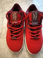 Nike Boys Air Zoom James Size 4