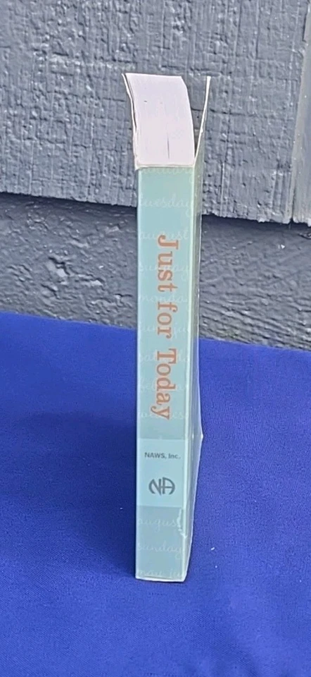 Just for Today Revised Narcotics Anonymous Paperback Pocket Sized English NA JFT - Image 2 of 4