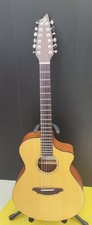 BREEDLOVE AC250 SM-12 Electric Acoustic Acoustic