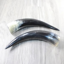 2 Polished Cow Horns #625d    Natural colored