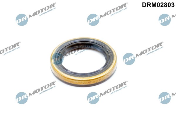 Dr. Motor Automotive DRM02803 Schaft Dichtung, Differential FüR Alfa Romeo,-image