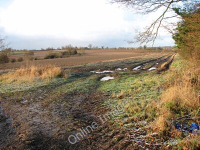 Foto 6x4 Felder westlich von Cross Lane Bramerton c2010
