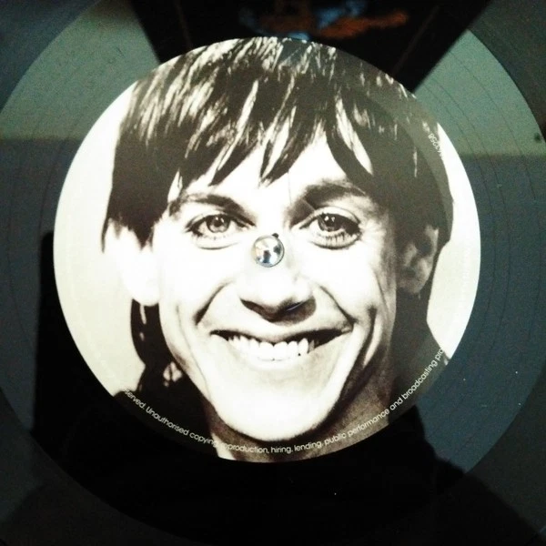 Iggy Pop Lust For Life - LP 33T - Photo 3/3