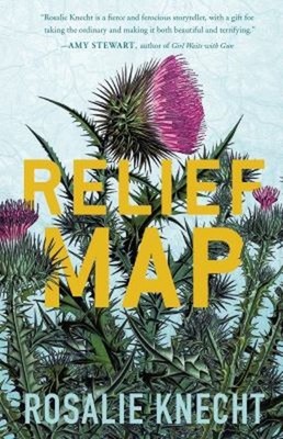 Relief Map Paperback Rosalie Knecht