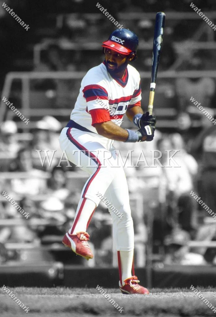 Harold baines outlet