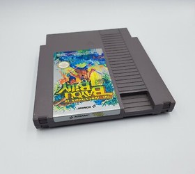 The Adventures of Bayou Billy Nintendo NES FRA
