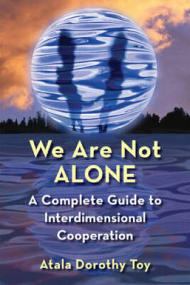 We Are Not Alone: A Complete Guide to Interdimensional Cooperation - GOOD