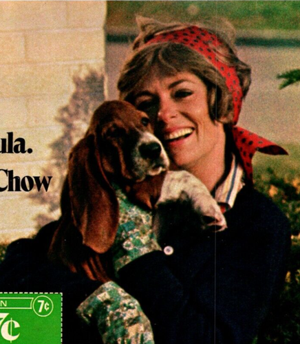 DRUCKANZEIGE 70er Purina Puppy Chow Basset Hounds ODER Eve Pretty Zigaretten Vintage