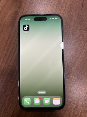iPhone 14 Pro (TikTok Installed)