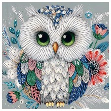 Owl Diamond Painting Kits for Adults, 5D Special Shape Diamond Art Kits for A...