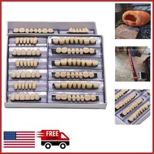 DIY Costume Accessory 168 Fake Teeth for Halloween Parties  Learning Fun