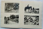 Photo 20/24