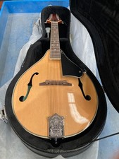 Taurus Mandolin TM-003 Damaged case, cosmetic damage 