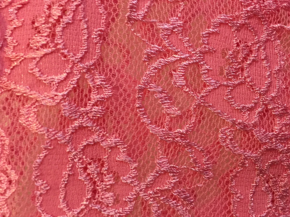 Bragas de Bikini Hiphugger De Colección Secret Treasures 8 L Rosa Coral Encaje Transparente Foto 2 de 4