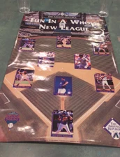 RARE 1998 ARIZONA DIAMONDBACKS MLB INAUGURAL SEASON FIRST DAY LINE-UP POSTER