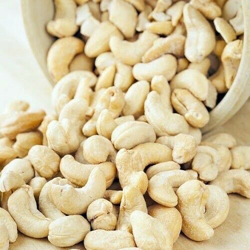 5 Cashewnusssamen Anacardium Occidentale Bio Erbstück essbarer Obstbaum - Bild 9 von 12