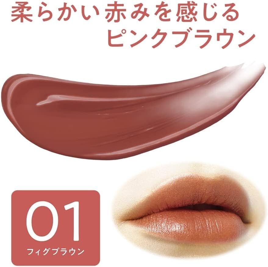 Cezanne Japan Lip Color Shield 01 Fig Brown 0.1 oz US Seller | eBay