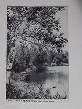 Spring Valley, Illinois IL ~ Birch in Vacation Land 1940s b/w L740