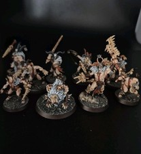 Painted Untamed Beast Warband - Warhammer Warcry