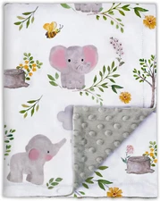 BORITAR Baby Blanket for Boys Girls Soft Plush Minky Fabric Blanket 30 x 40 Inch