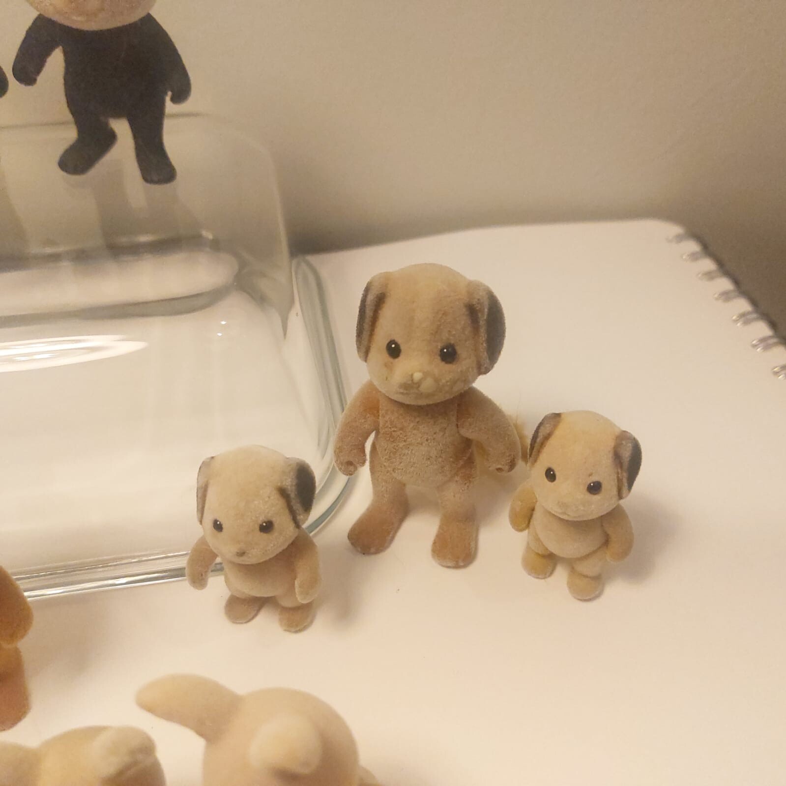Picture 13 of 20