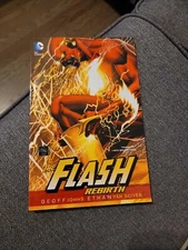 The Flash: Rebirth DC Animated Novel, Comic Book Great Condition & Great Story!