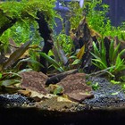 Picture 6 of 12