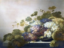 STILL LIFE WITH GRAPES Accent Tile Mural Kitchen Bathroom Wall Backsplash 8x6