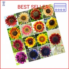 Groundio Sunflower Seeds for Planting, 15+ Varieties, 1 Oz, 300+ Mixed Seeds to 
