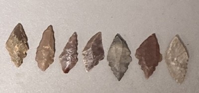 Stone Age Mesiolithic Stepped Base Arrow Heads, 12,000-7,000 Years Old ,