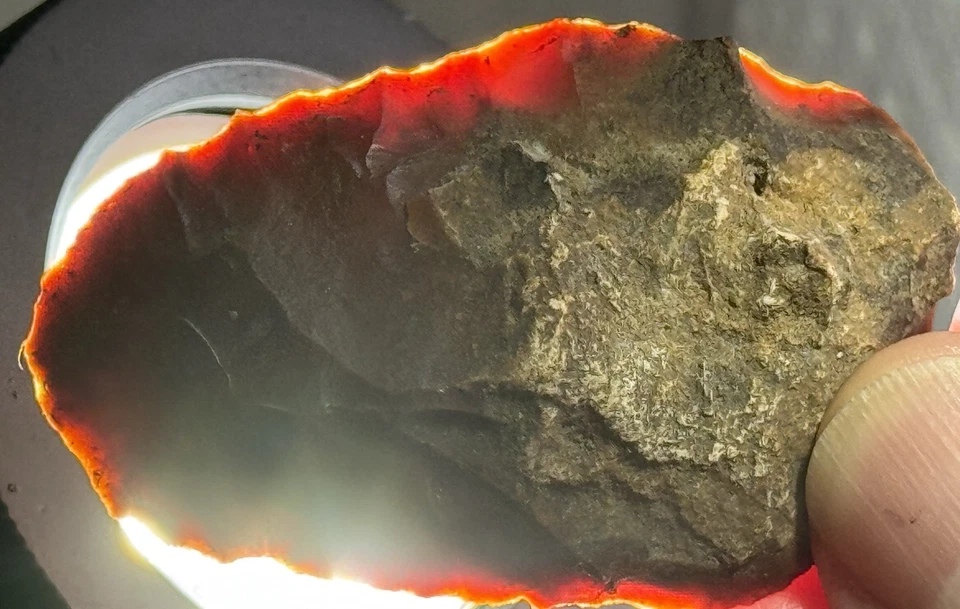 STEMITRANSLUCENT 2 & 1/2 英寸正品艺术 ARROWHEAD FLORIDA GEORGIA *5 — 第 3/4 张图片