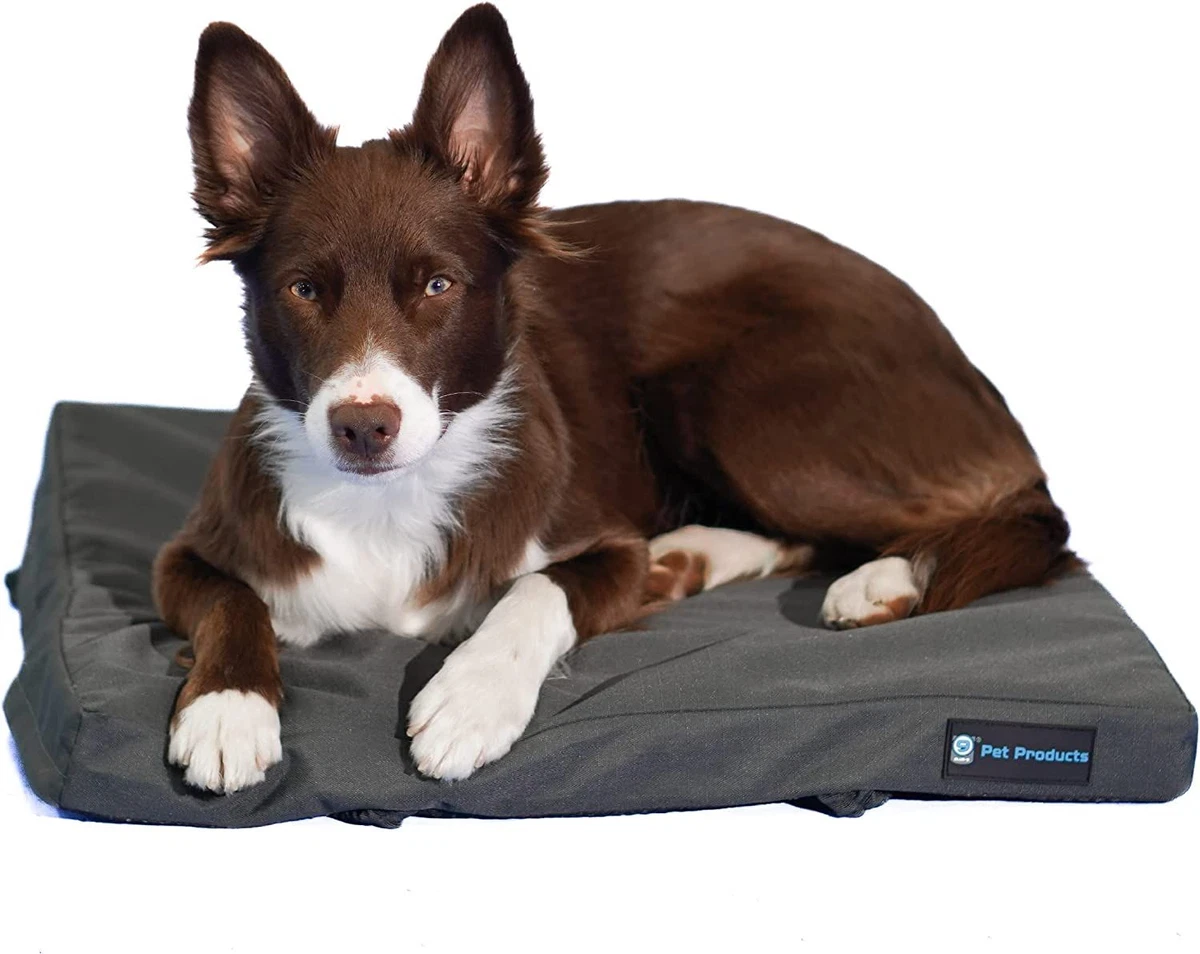 Ebay top pet supplies