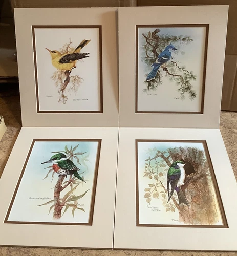 Exquisite Set Of 4 Double Mounted Bird Prints. ~ Bere And Brant  ~ Really Lovely
