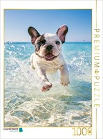 Calvendo Puzzle Paws In The Sand And The Sea | 1000 Pieces, Finished Size 25.2 ×