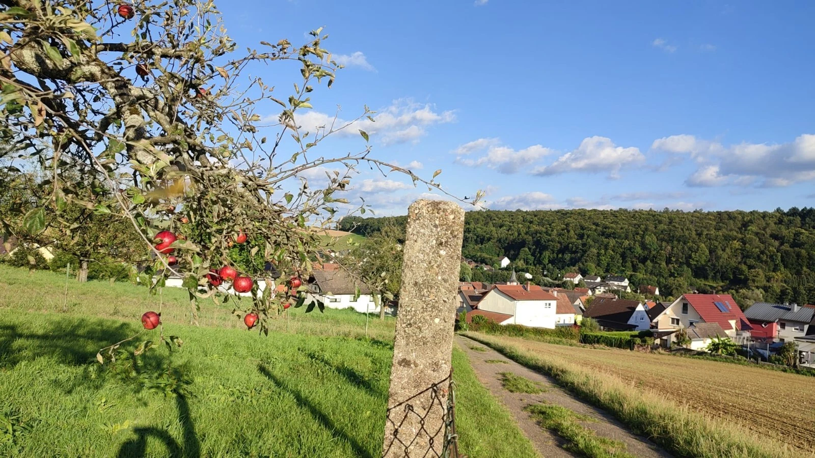 Bild 18 von 24