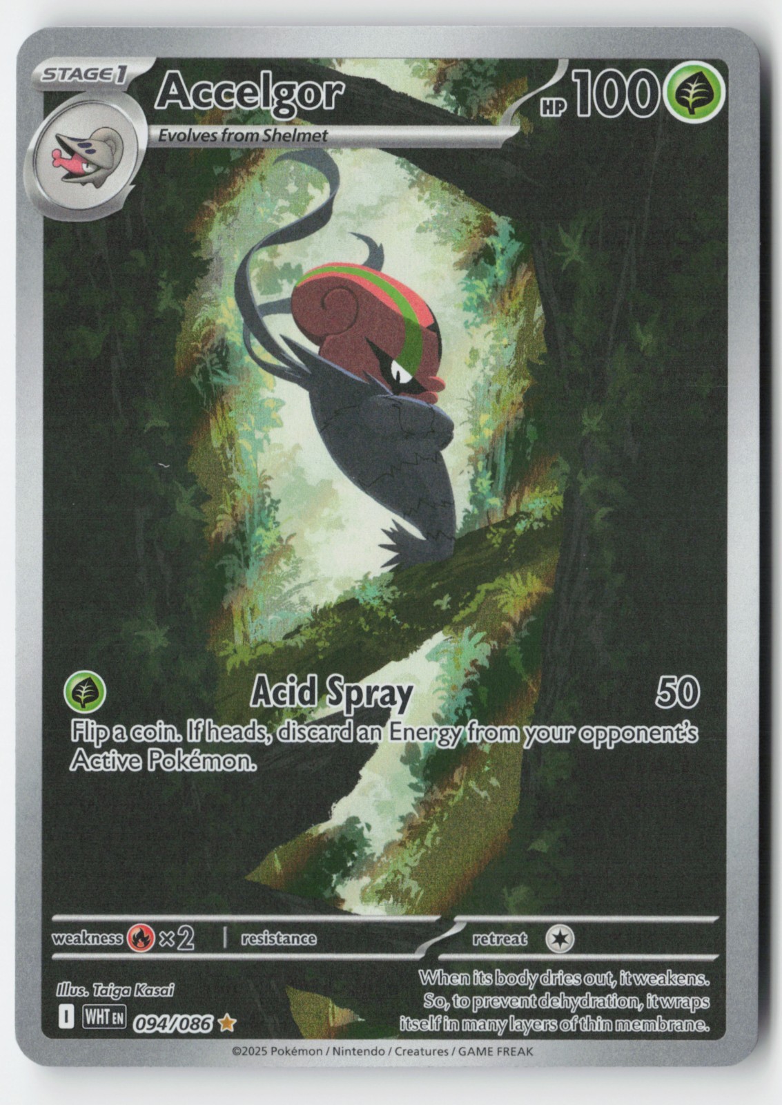 accelgor pokemon card 010/189 Accelgor | Rare Reverse Holo Card | SWSH-03 Darkness Ablaze