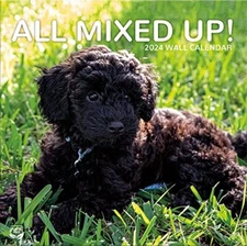 TURNER PHOTOGRAPHIC All Mixed Up 12X12 Photo Wall Calendar 24998940003